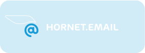 Hornet.email Starter 2GB